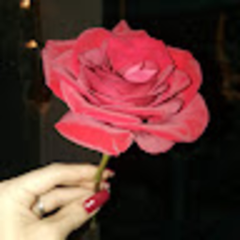 Meet your Posher, Emaly